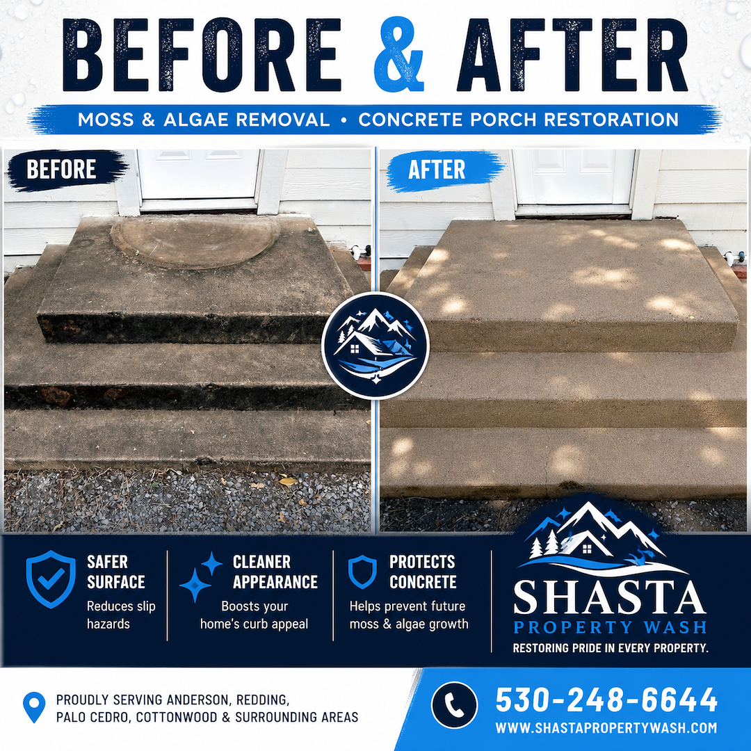 Moss and Algae Removal on Concrete Porch in Anderson CA Thumbnail